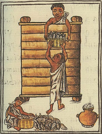 Aztecs storing maize